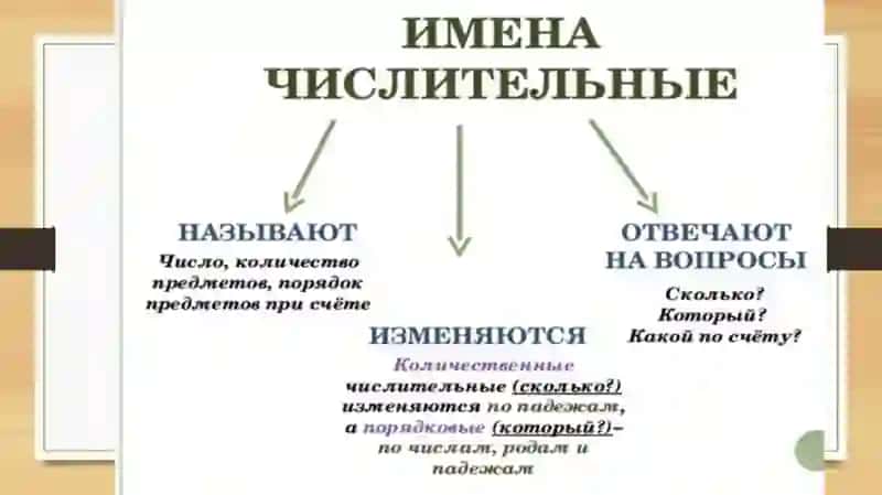 Имя чистителное 3