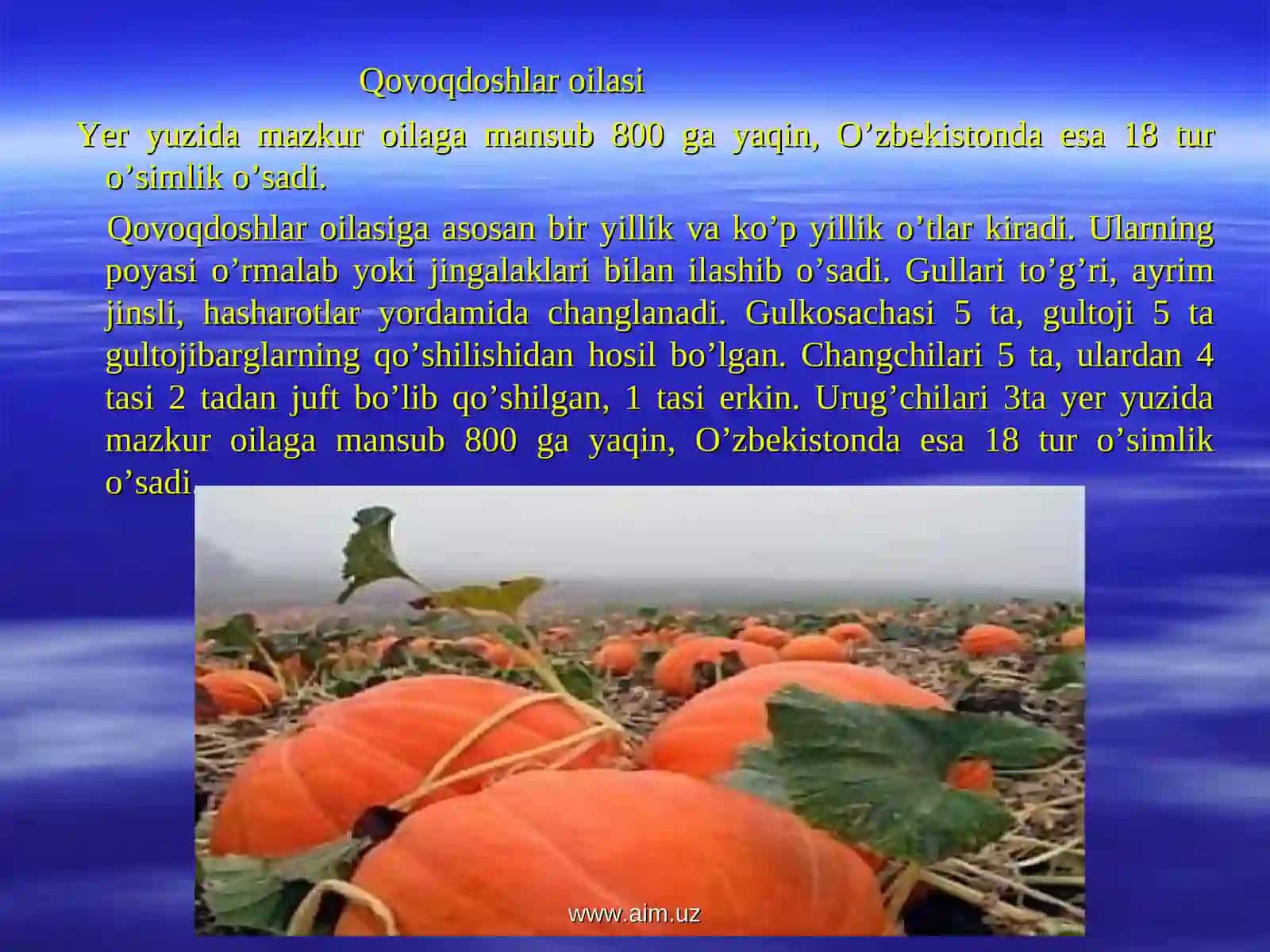 Qovoqdoshlar oilasi 3