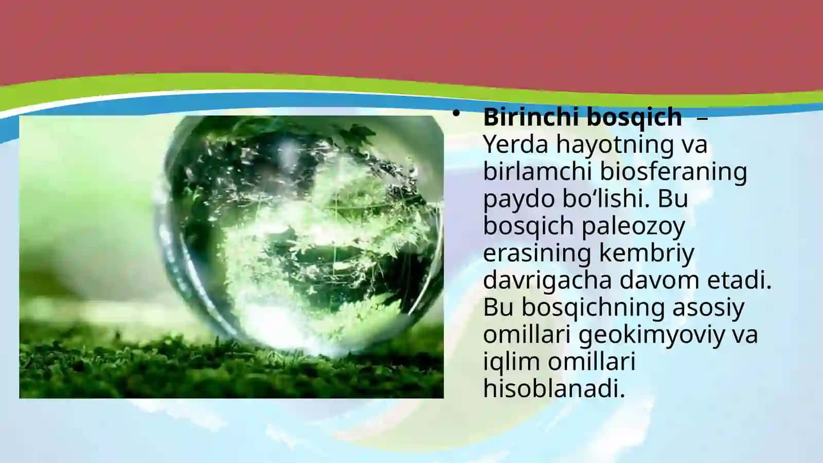 11-sinf Biologiya dars ishlanma. Biosfera evolutsiyasi. Biogenez 3