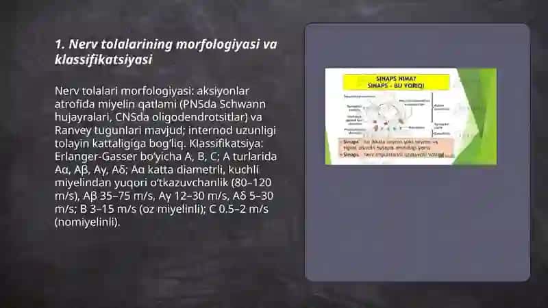 Nerv tolalari fiziologiyasi 3