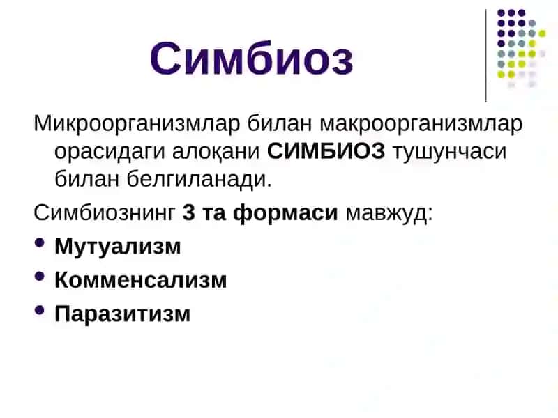 Инфекция 3