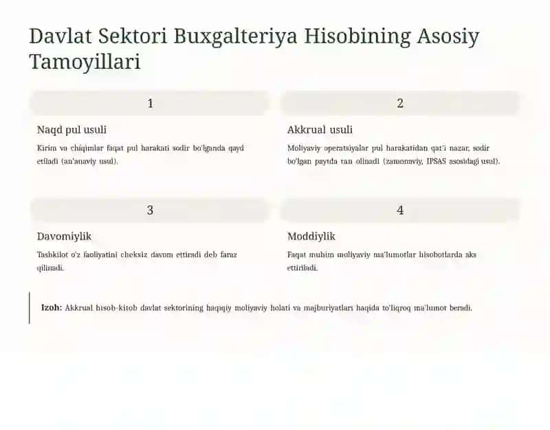 Davlat Sektori Buxgalteriya Hisobini Tashkil Etish va Yuritish 3