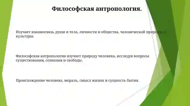 Философская онтропология 3