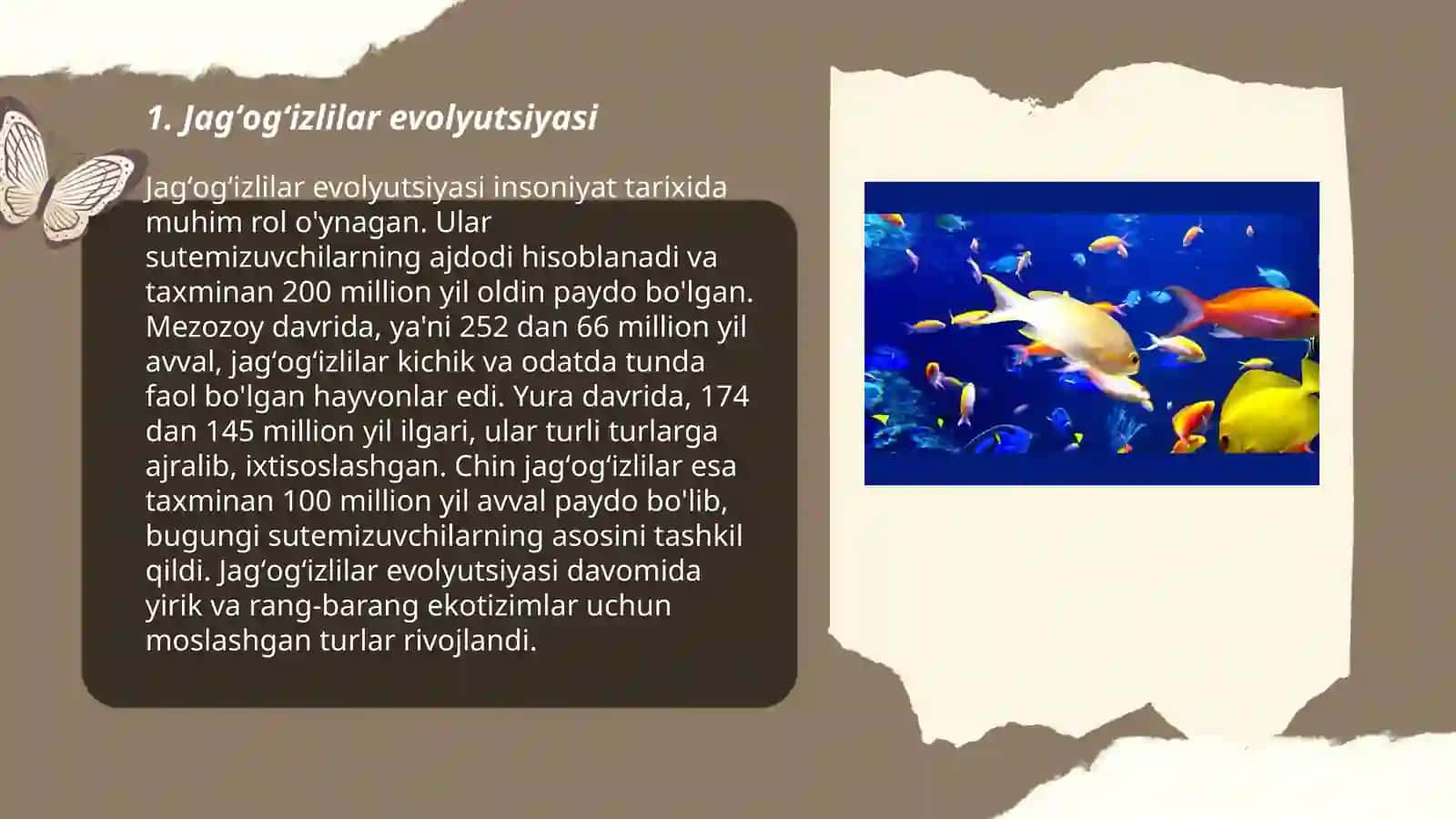 Jagʻogʻizlilar evolyutsiyasi 3
