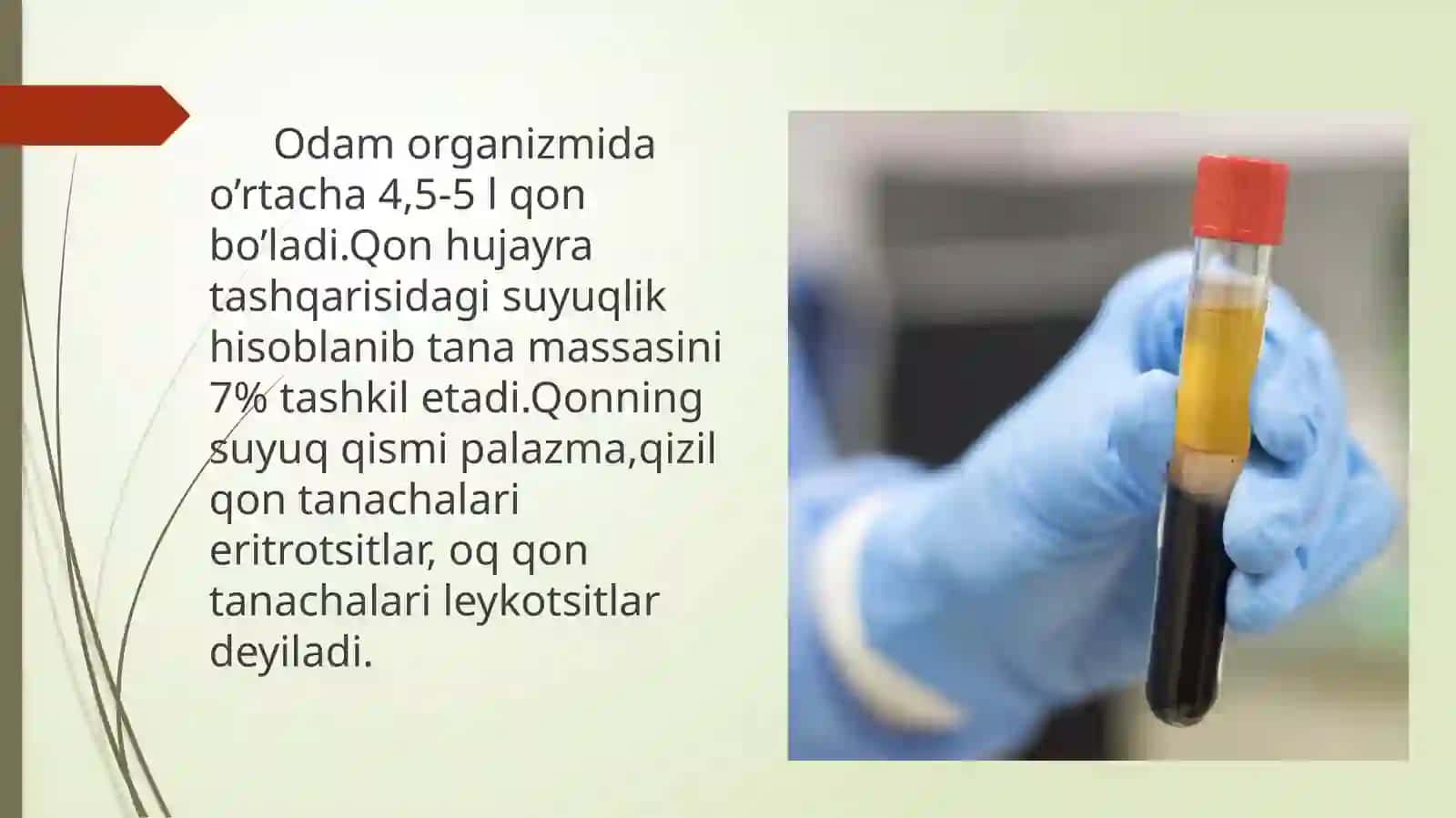 Qonfiziologiyasi 3