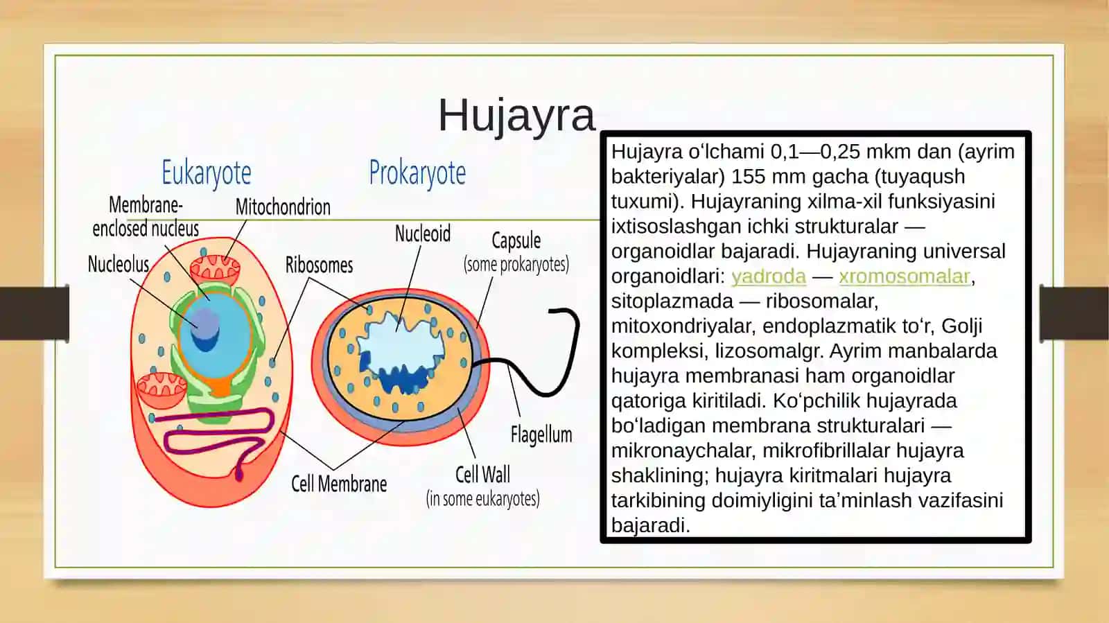 SITOLOGIYA 3