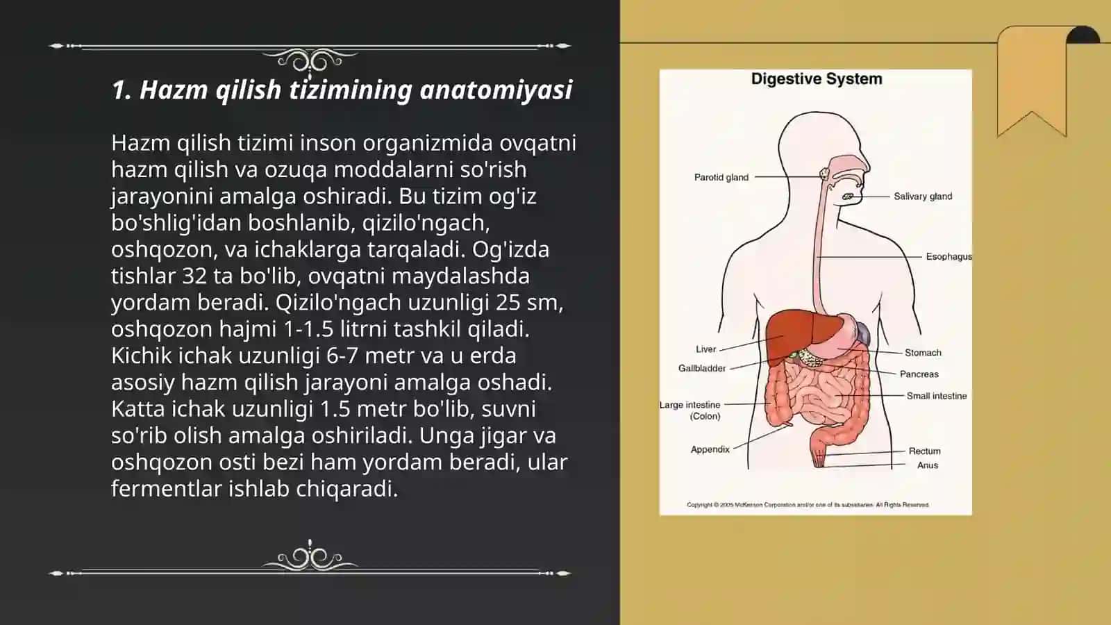 Hazm qilish sistemasi 3
