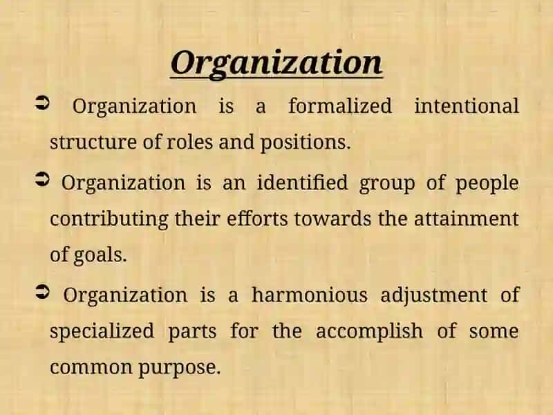 Organization 3