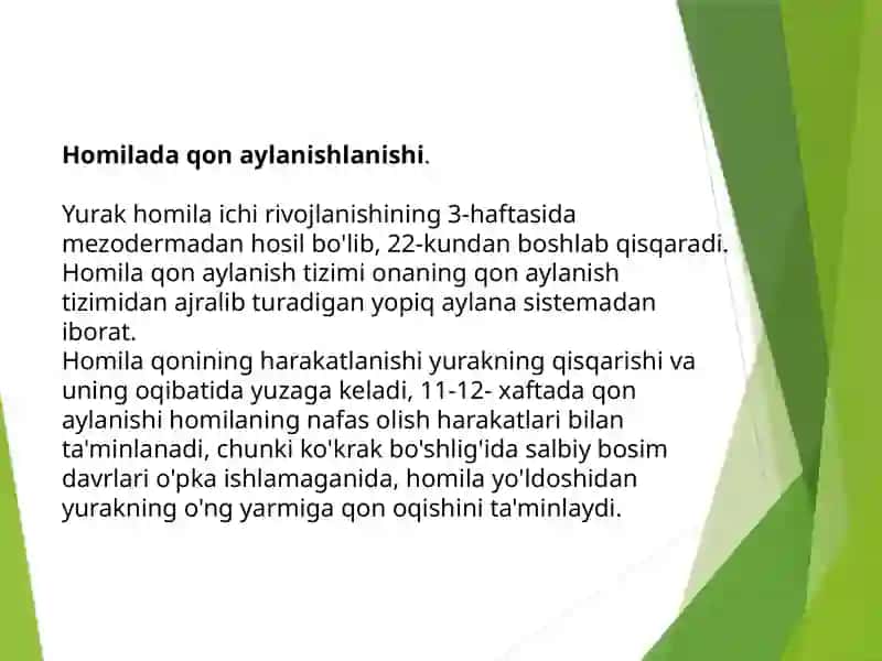mustaqil ish 3
