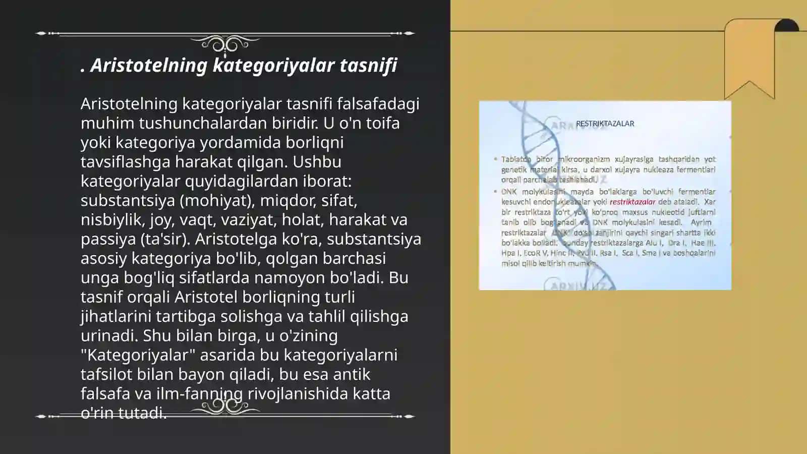 Aristotel, Farobiy va I.Kvant kategoreyalari tasnifi 3