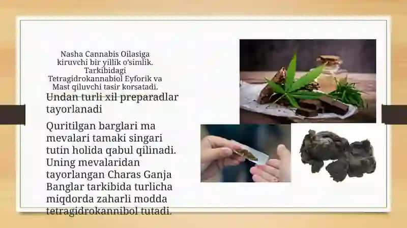 Nasha qabul qilgan bemorlardagi psixozlar 3