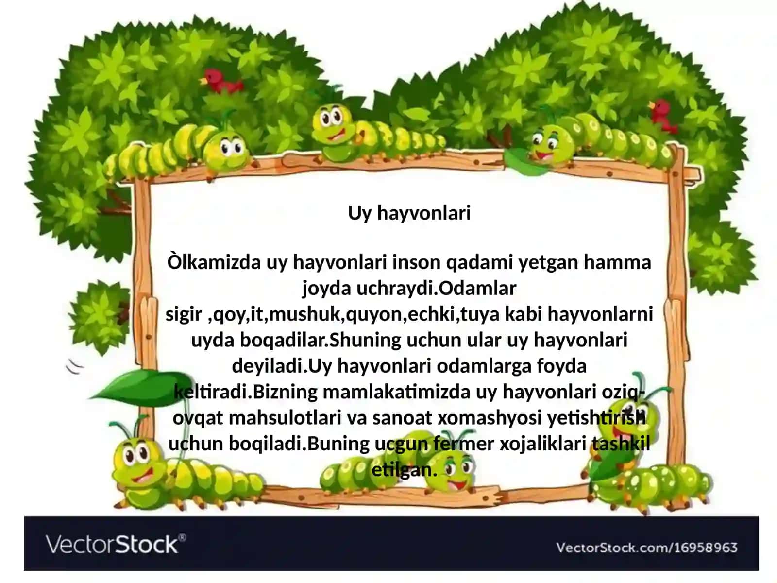 Uy Hayvonlari Ta'limi 3