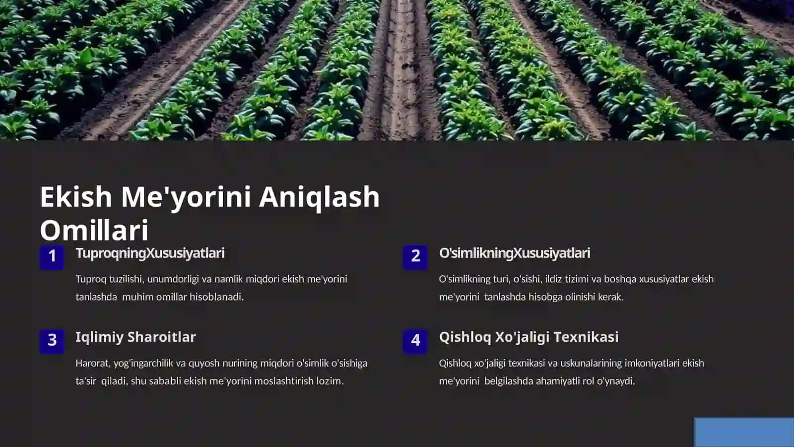Hosilni  rejalashtirishda  ekish  me’yorining  o‘rni 3