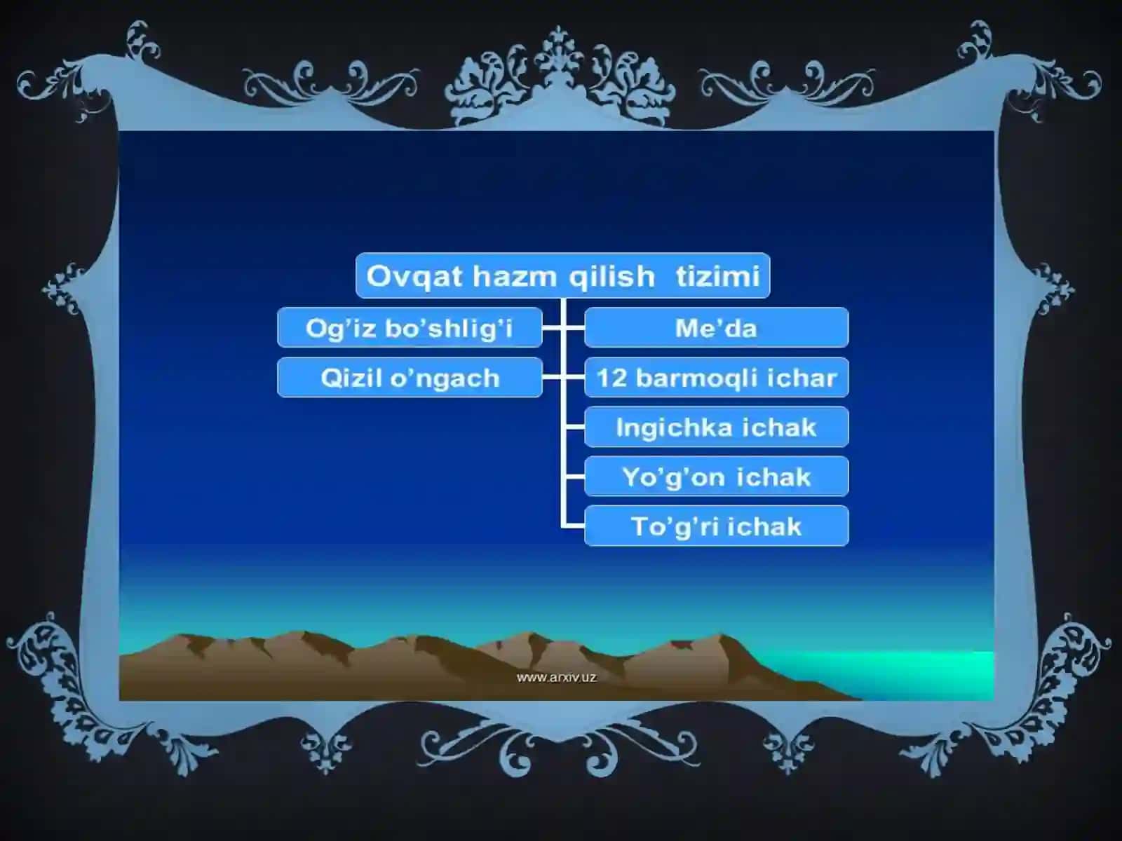 ovqat hazm qilish organlari 3