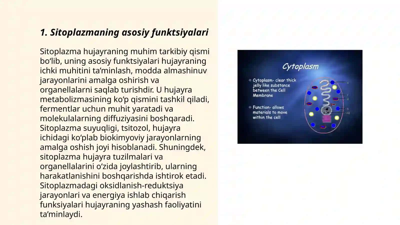 Sitoplazmaning tarkibiy qismlari 3