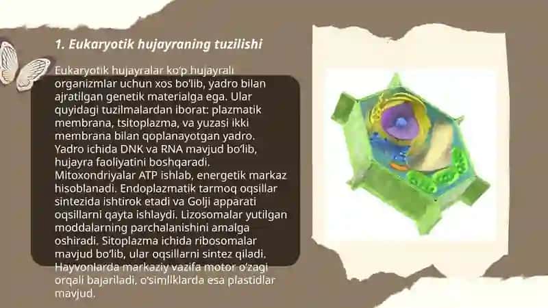 Eukariot hujayra 3
