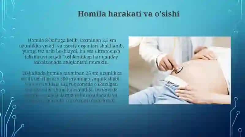 Homila rivojlanishi 3