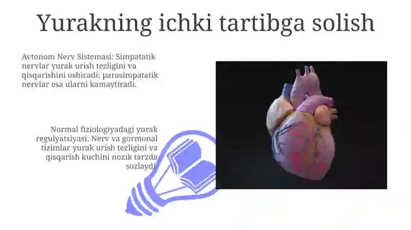 Yurakning ichki tartibga solish 3