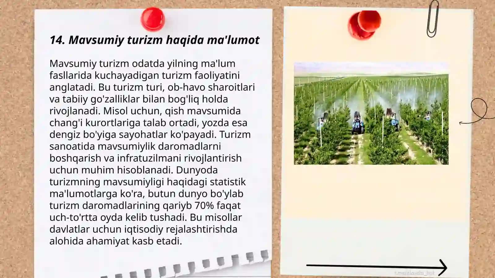 Mavsumiy turizm haqida ma'lumot 3