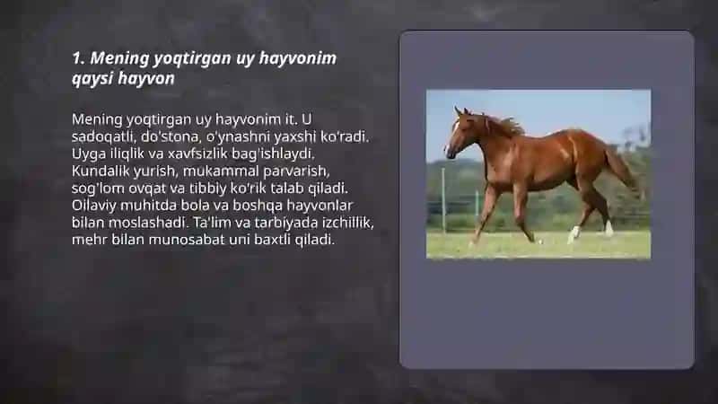 Yoqtirgan uy hayvonim 3