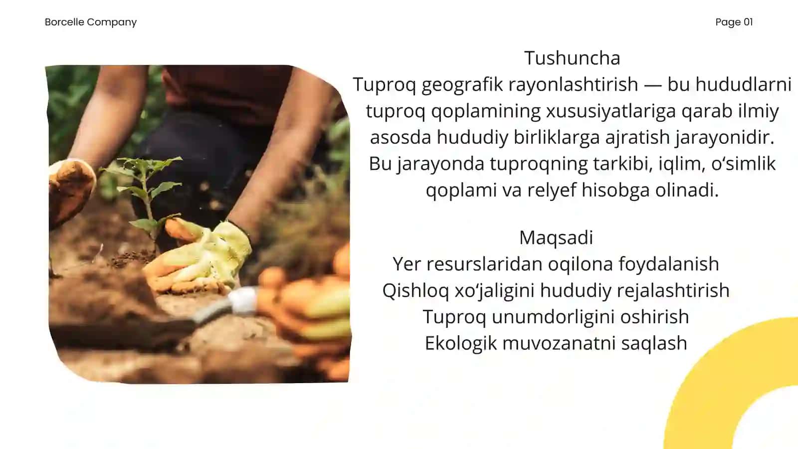 Tuproq geografik rayonlashtirish tajribalari 3