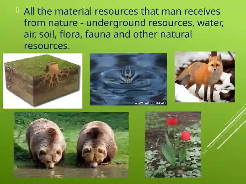 Natural Resource Potential of Regions and Their Role in Regional Development 3