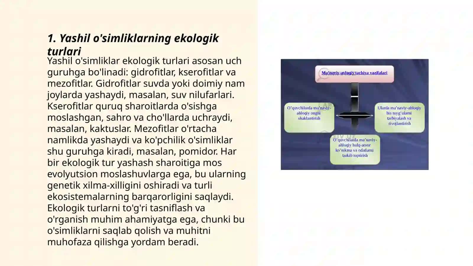 O'simliklarning turkumlari va ularning joylashuvi 3