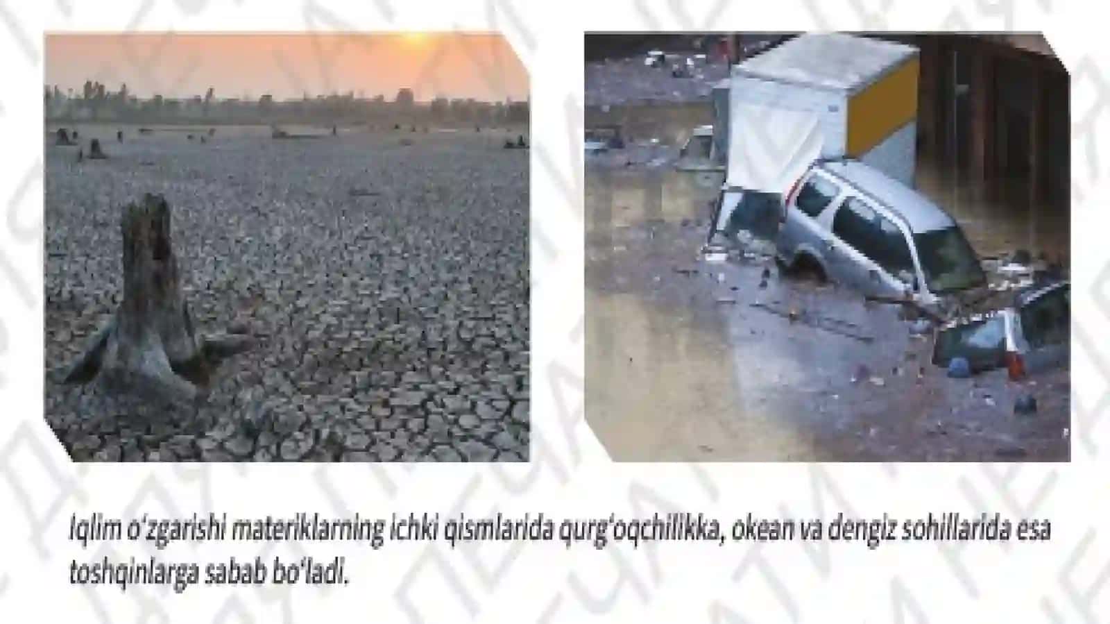 5-sinf.Tabiiyfan.Ifloslanishturlari3-qism 3