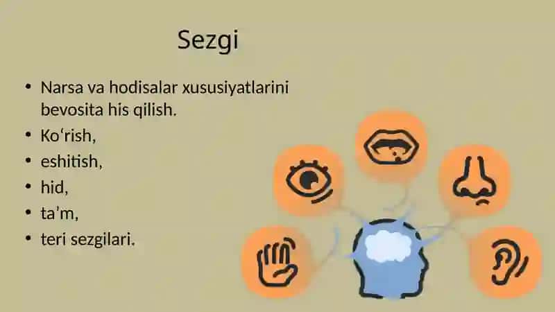Sodda kognitiv jarayonlar 3