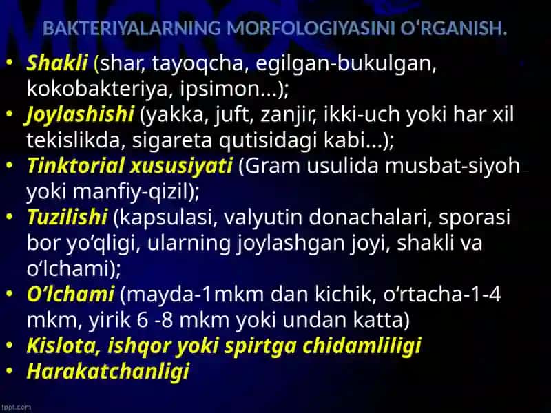 BAKTERIYALARNING MORFOLOGIYASINI O‘RGANISH 3