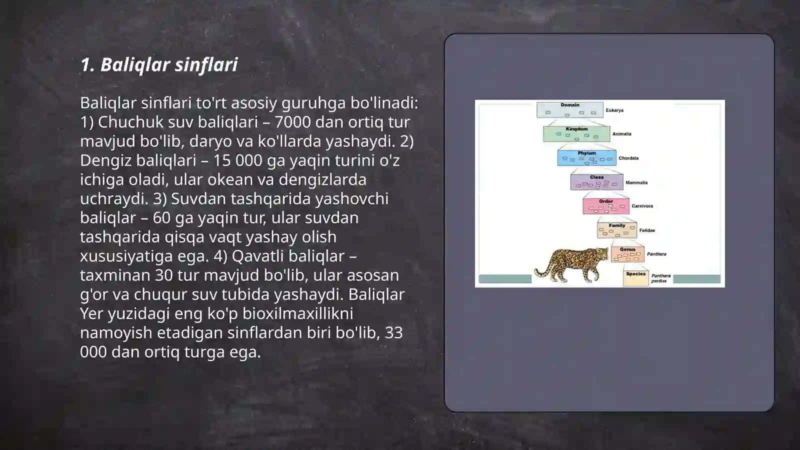 Baliqlar sinflari 3