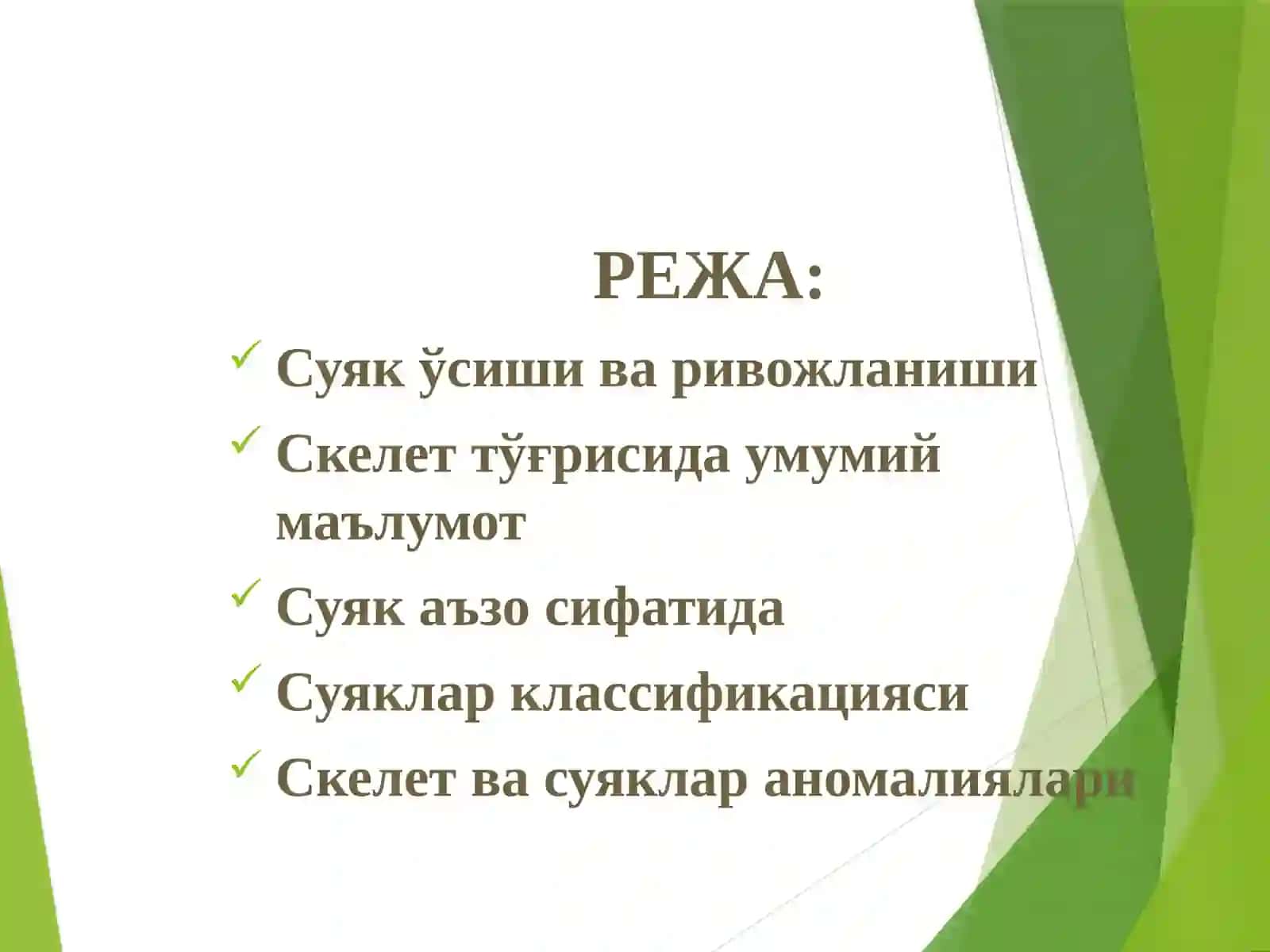 ОСТЕОЛОГИЯ ТАЯНЧ-ХАРАКАТ АППАРАТИ 3