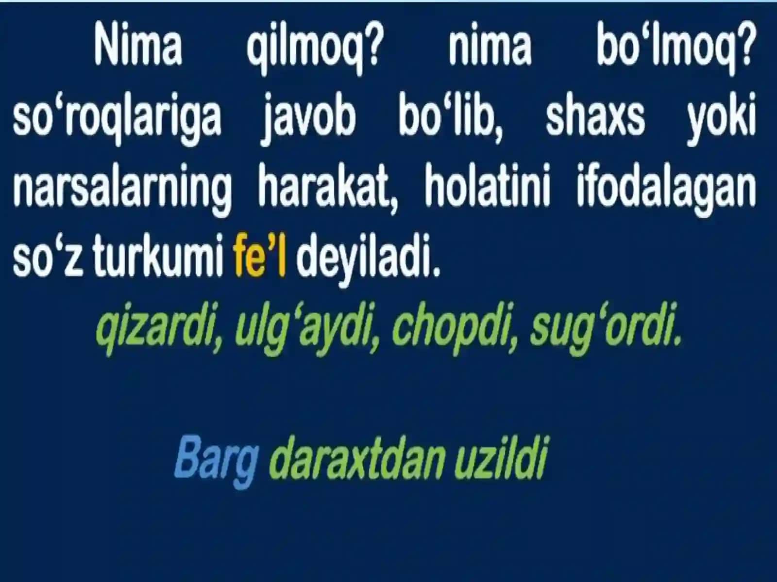 Fe’l so‘z turkumi sifatida 3