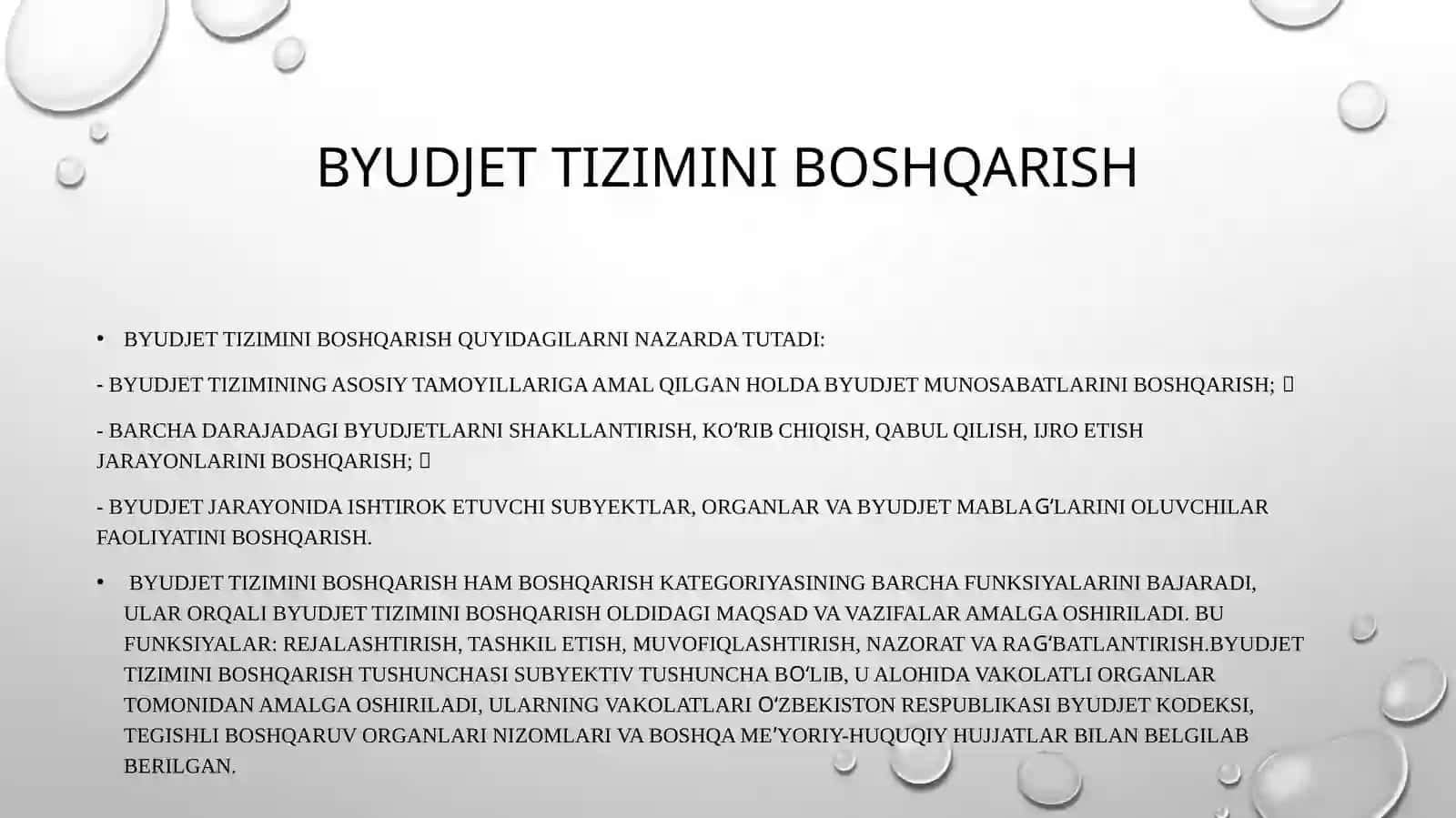 Byudjet tizimini boshqarish 3