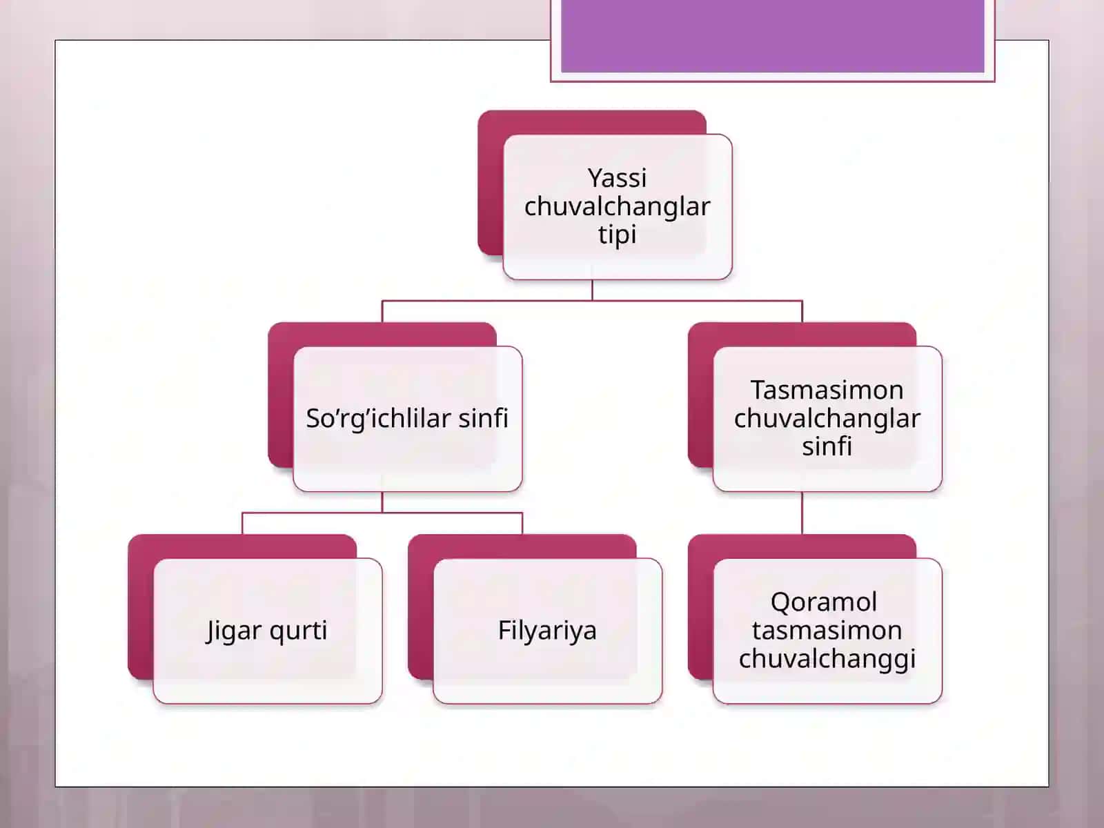 Tasmasimon chuvalchanglar odam parazitlari 3