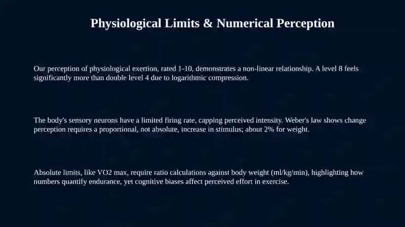 Physiological Limits & Numerical Perception 3