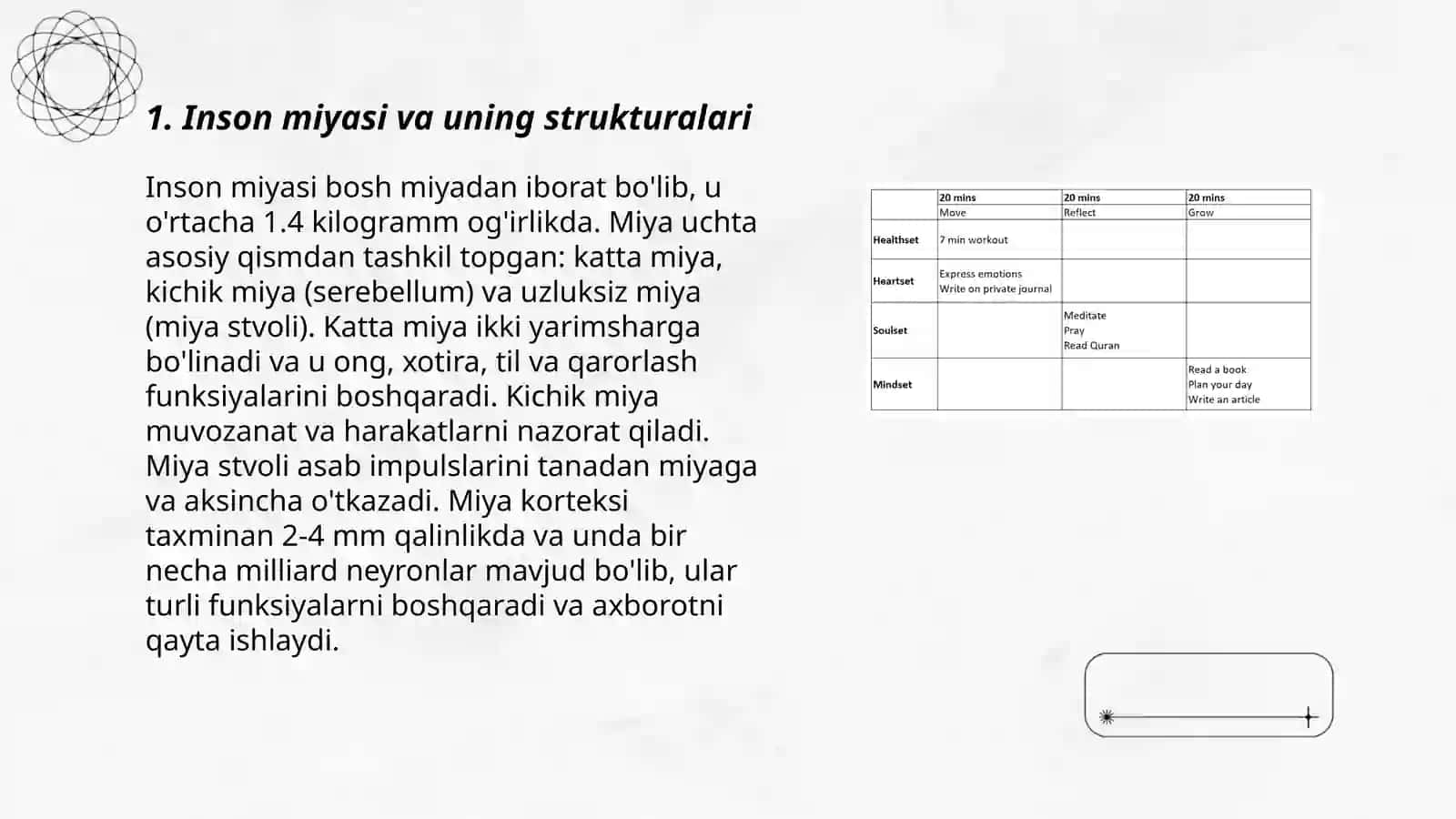 Inson miyasi va uning strukturalari 3