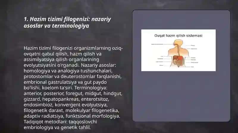 Hazim tizimi Filogenizi 3