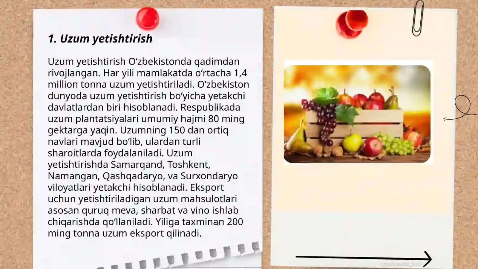 Uzum yetishtirish 3