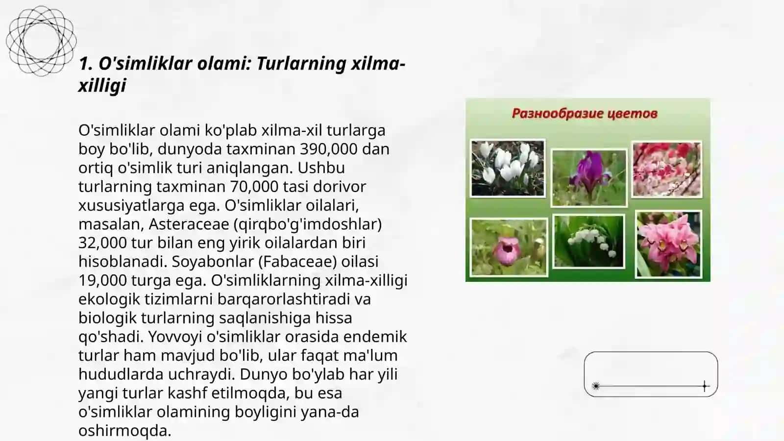O'simliklar olami 3