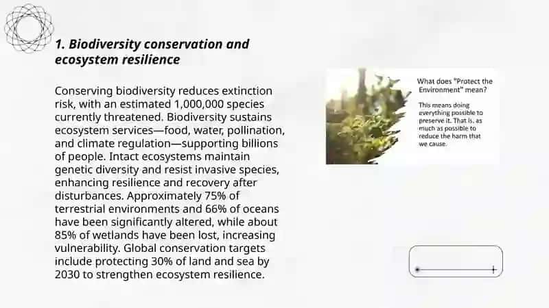 The importance of protecting the environment 3