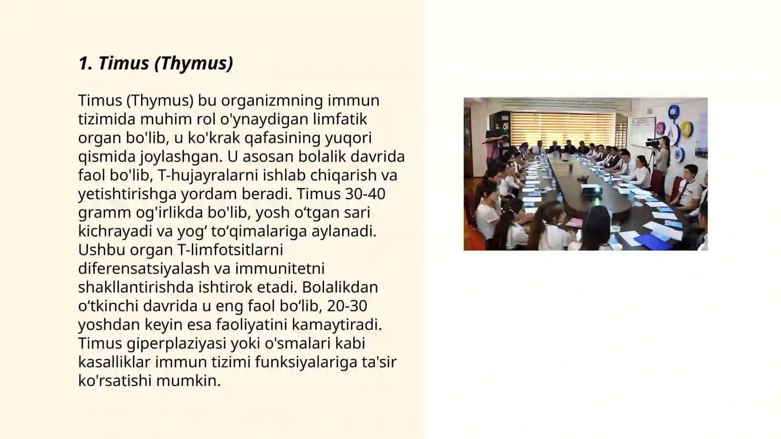 Immun tizimining markaziy organlari 3