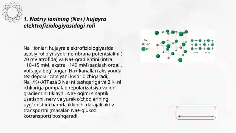 Noorganik ionlar ularning funksiyalari 3