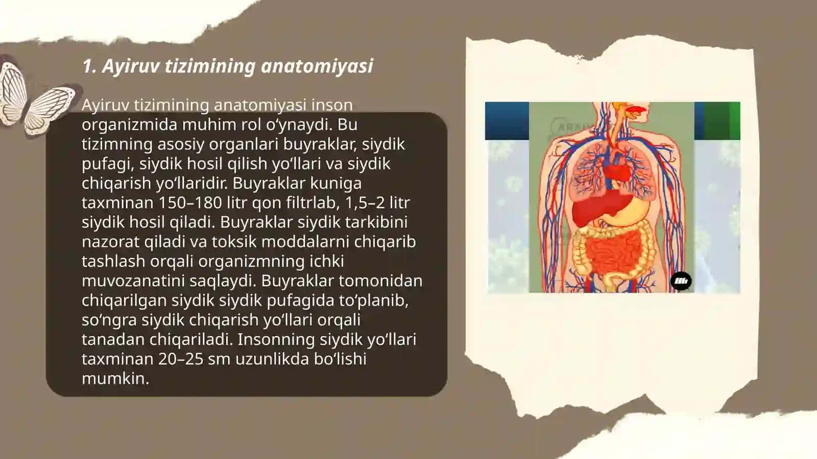 Ayiruv sistemasi 3