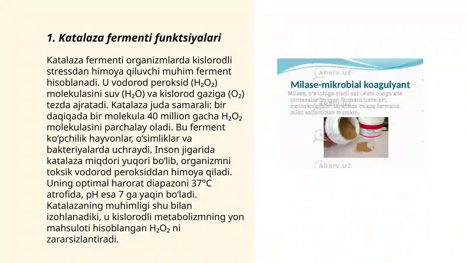 Katalaza fermenti funktsiyalari 3