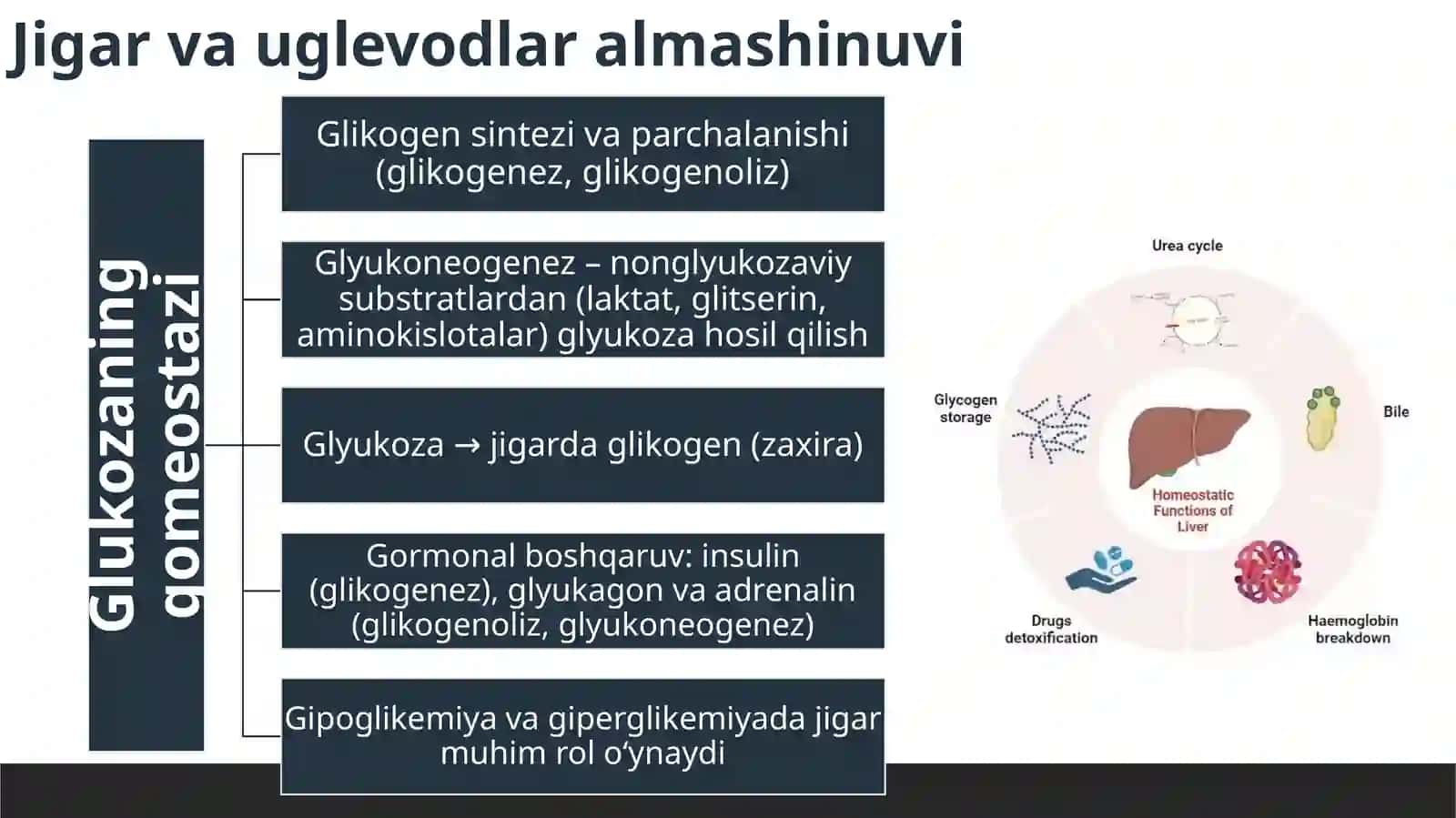 Jigar biokimyosi 3