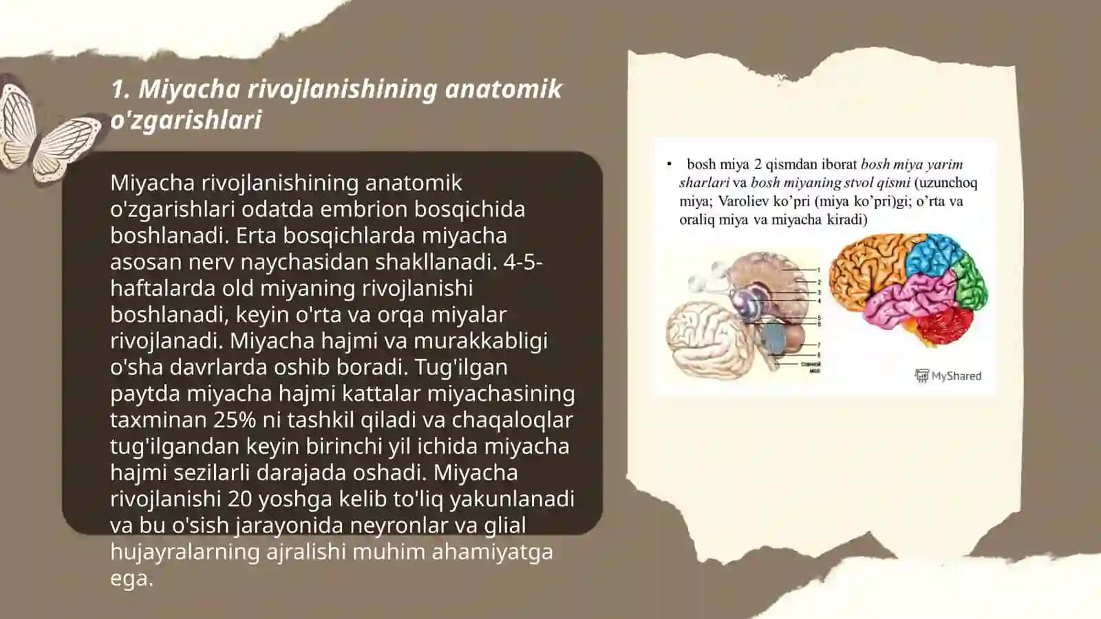 Miyacha rivojlanish anomaliyasi 3