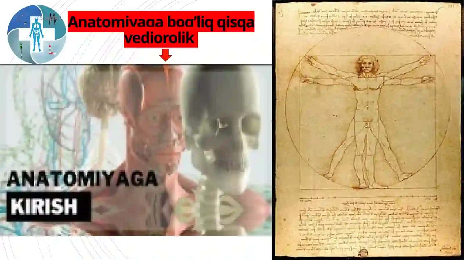 Anatomiya haqida qisqacha maʼlumot 3