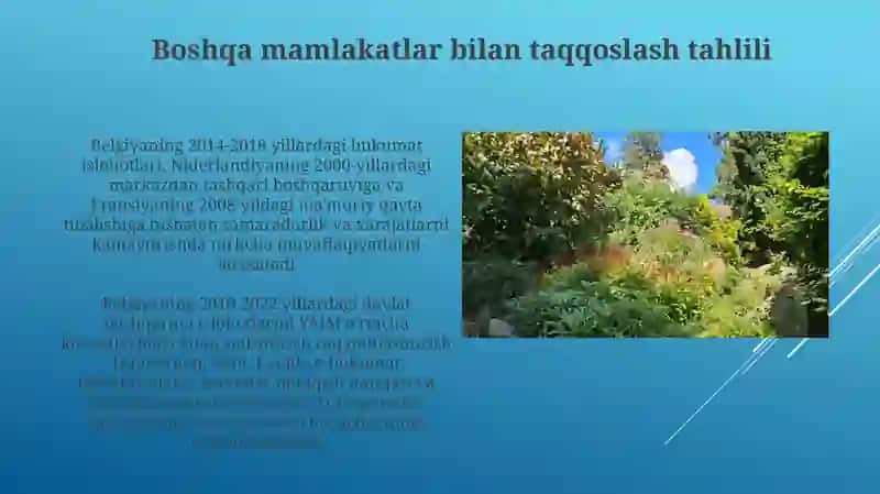 Belguyada menejment sohasidagi islohotlar 3