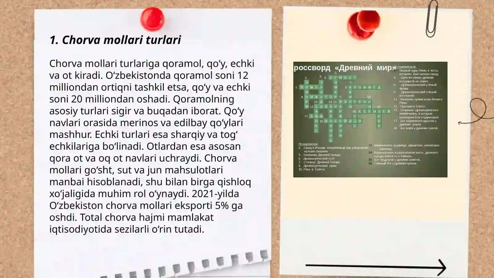 Chorva mollari turlari 3